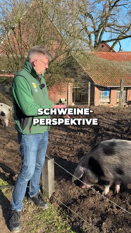 Beispiel für ein Kurzvideo im Social-Media-Profil eines Betriebs